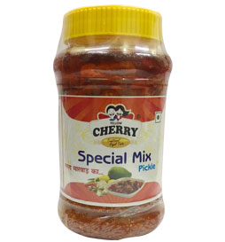 Special Mix Pickle in Jodhpur, Rajasthan- India